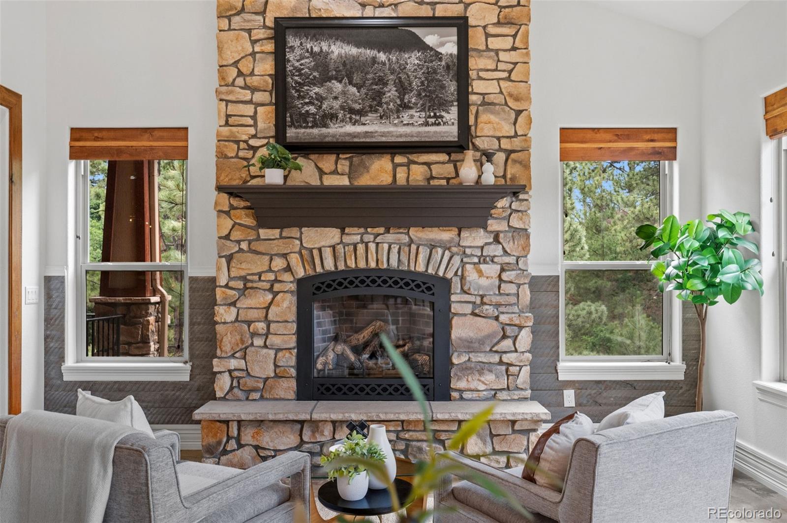 MLS Image #16 for 2328  saddleback drive,castle rock, Colorado