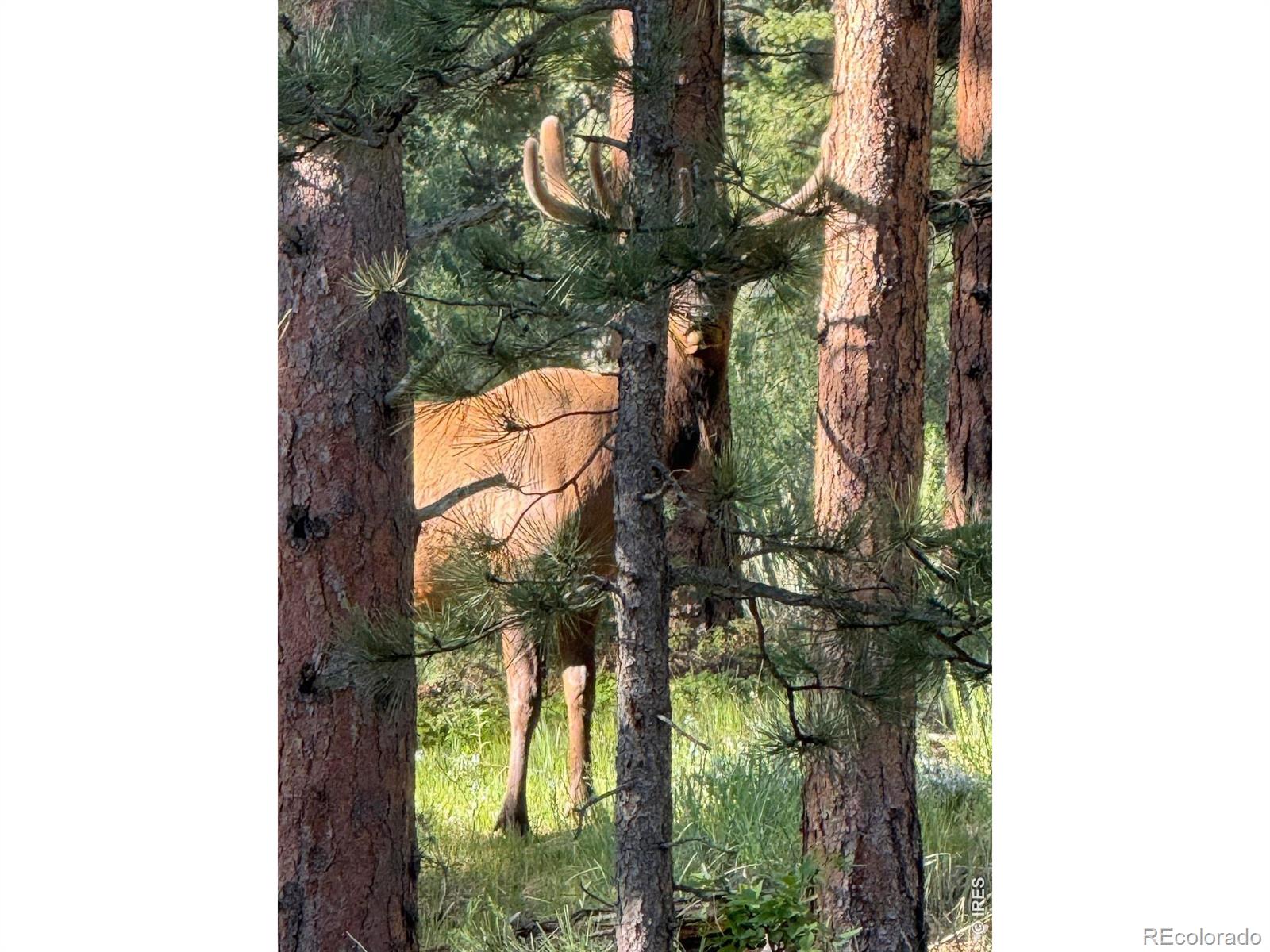 MLS Image #34 for 270  choctaw road,lyons, Colorado