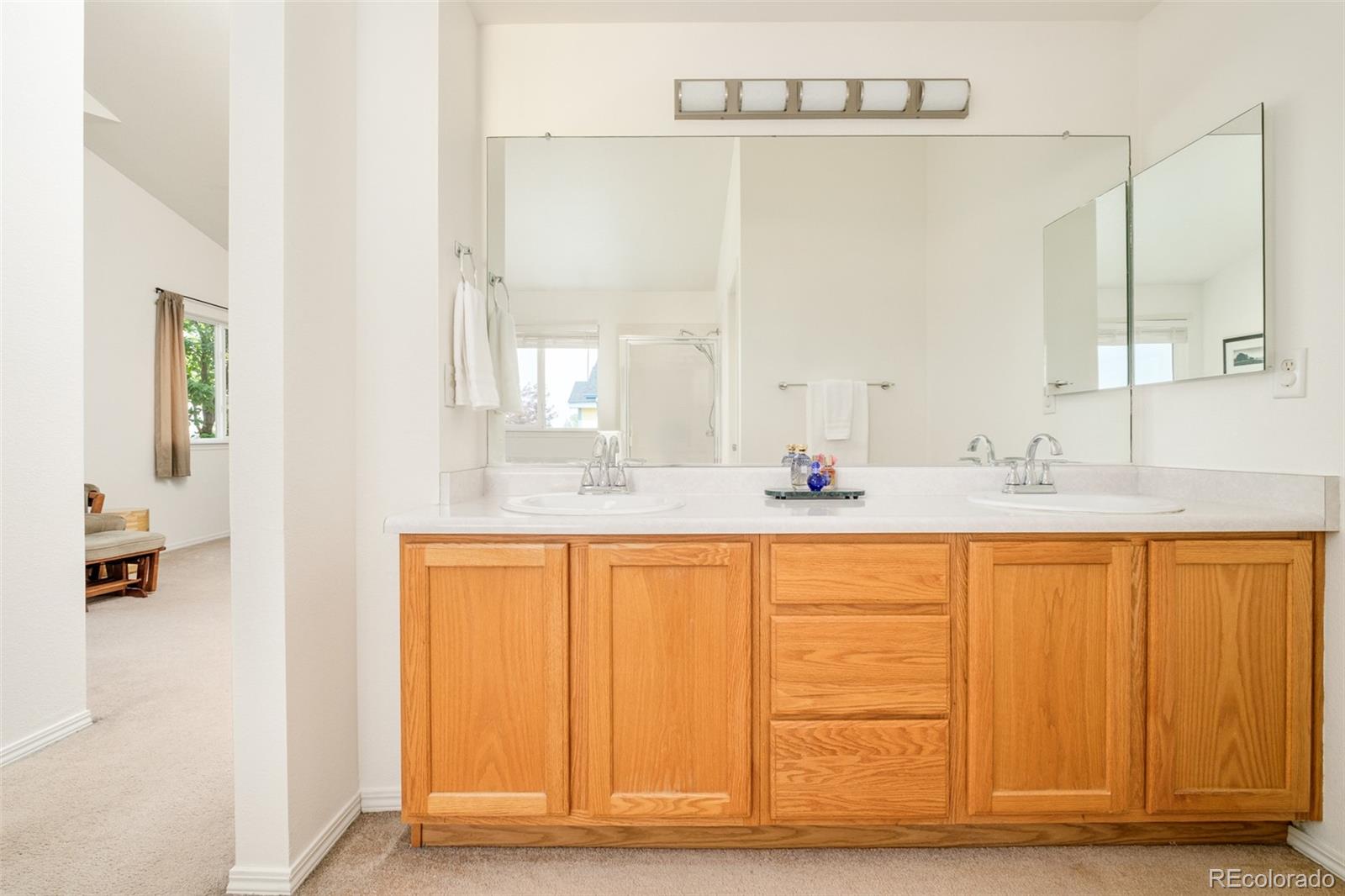 MLS Image #25 for 302  sanders circle,erie, Colorado