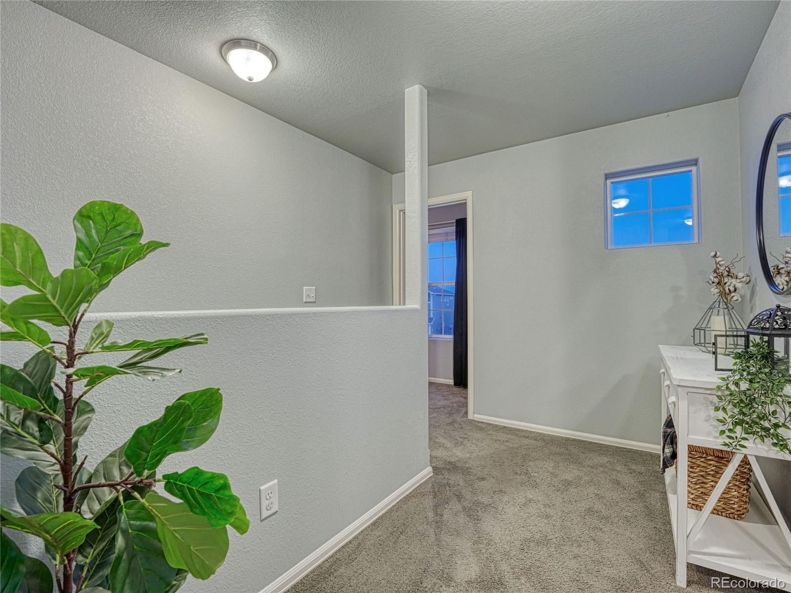 MLS Image #22 for 7618  dry willow way,colorado springs, Colorado