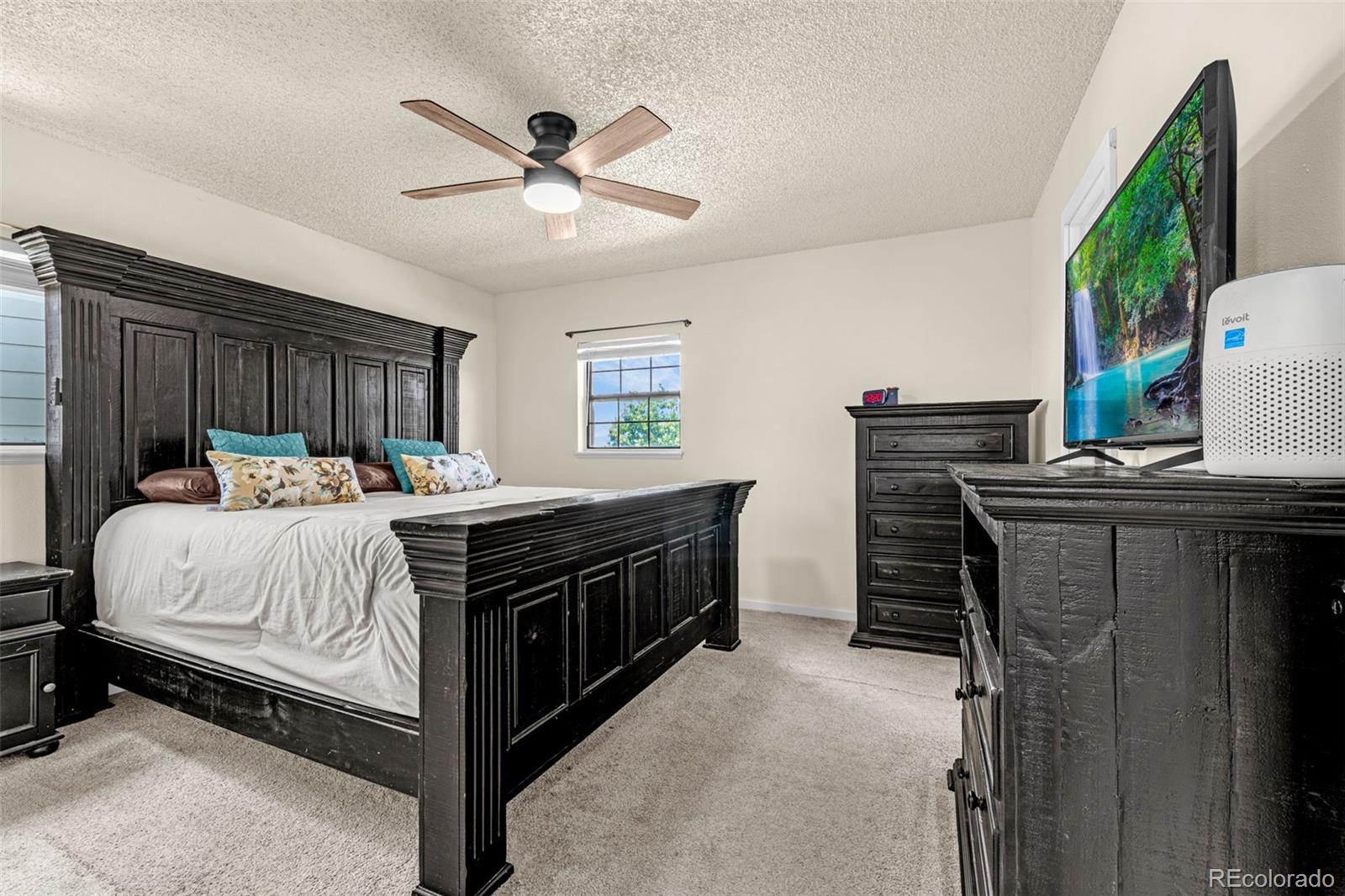 MLS Image #14 for 3955  ayers drive,colorado springs, Colorado