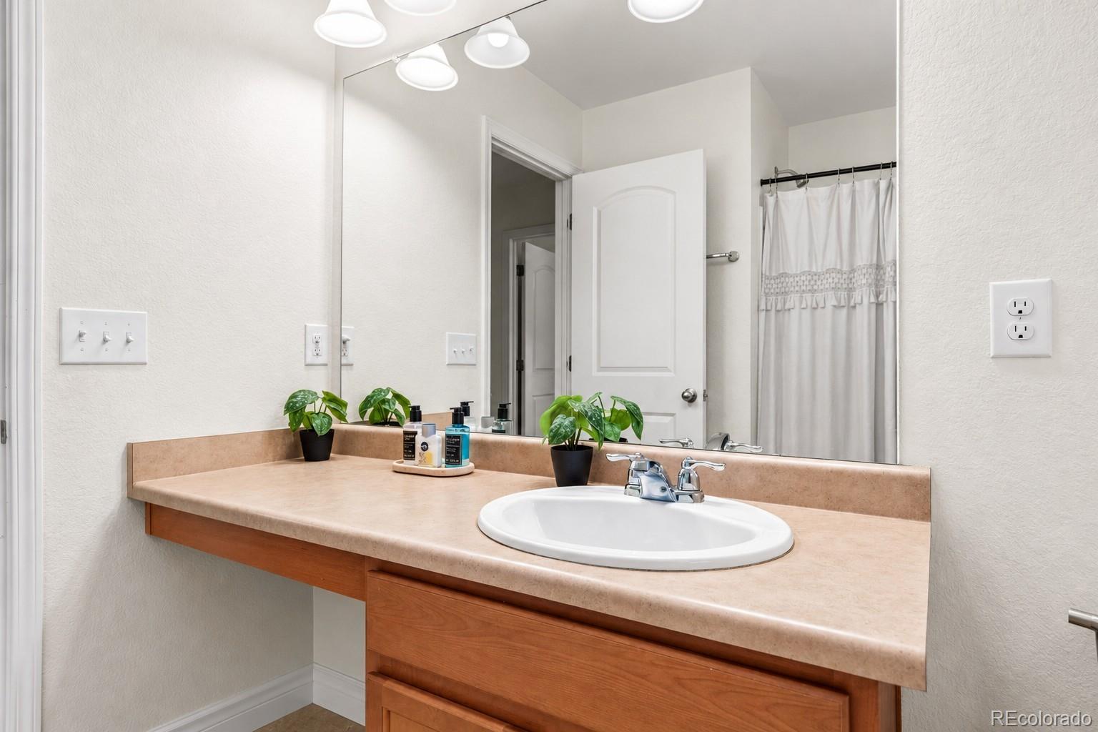 MLS Image #12 for 4847  wildflower place,dacono, Colorado