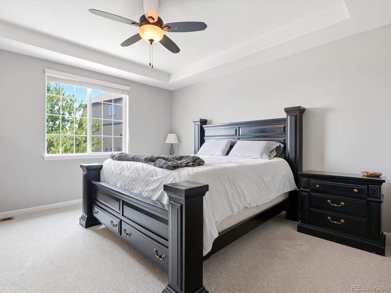 MLS Image #10 for 21560 e union place,aurora, Colorado
