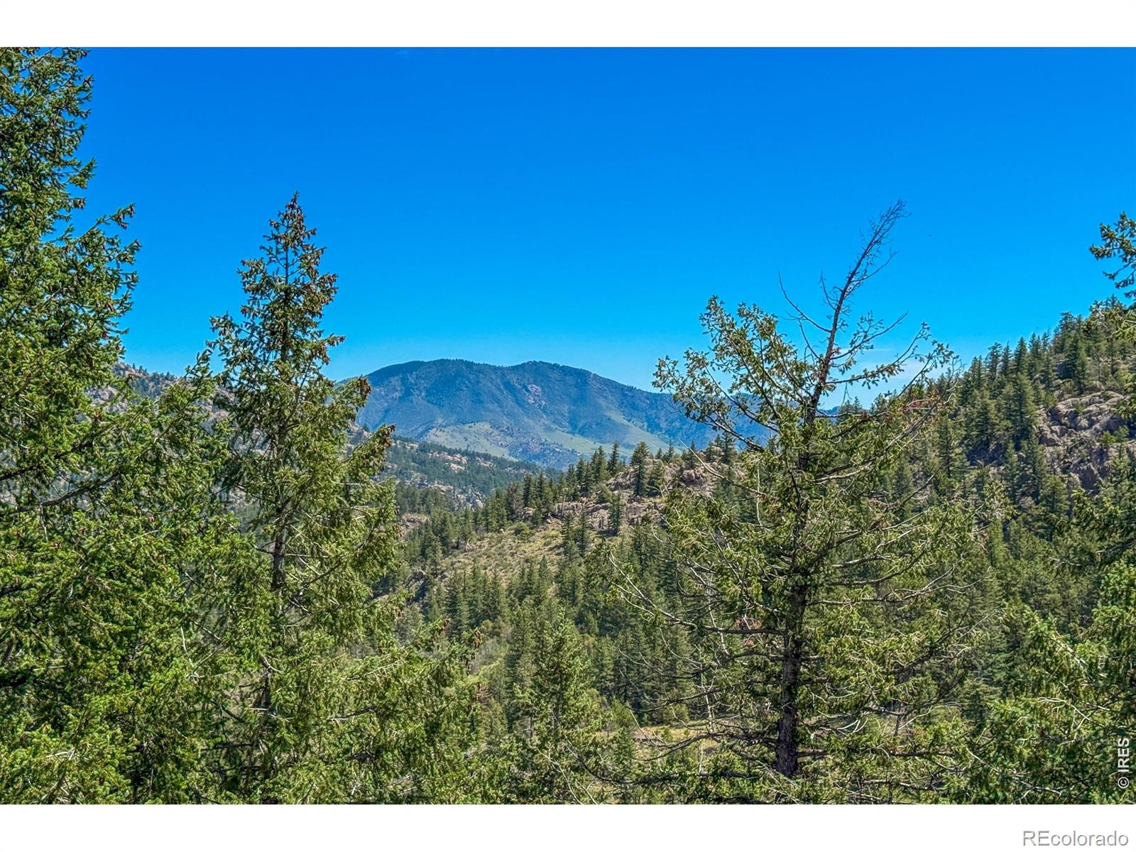 MLS Image #37 for 1108  eagle drive,lyons, Colorado