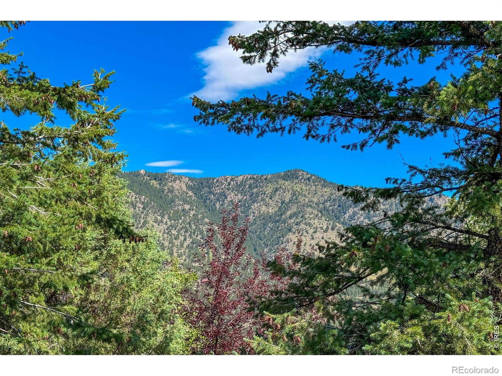 MLS Image #38 for 1108  eagle drive,lyons, Colorado