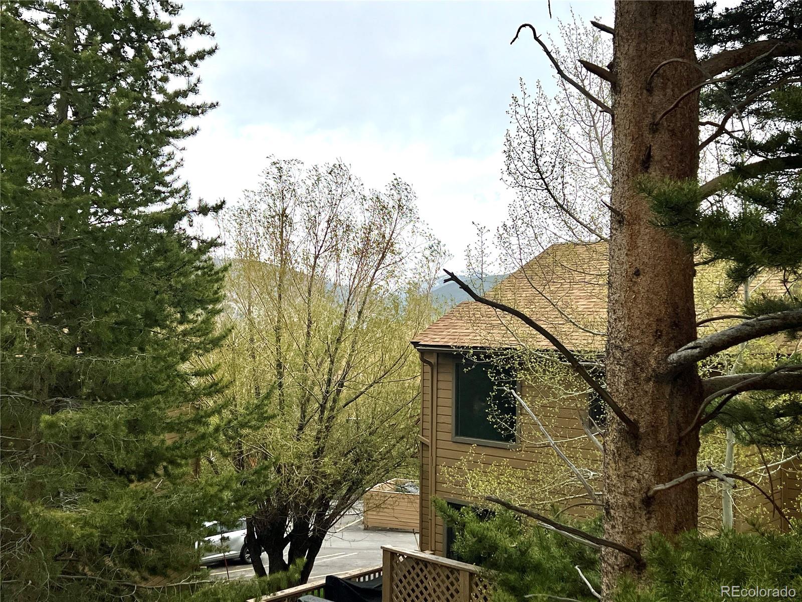 MLS Image #12 for 6722  ryan gulch road,silverthorne, Colorado