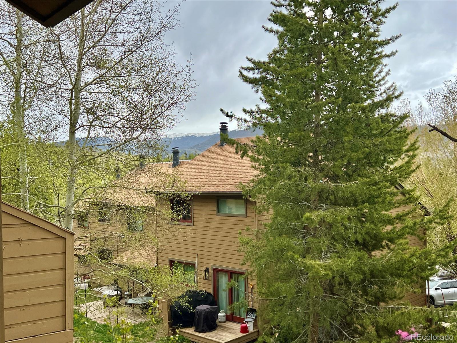 MLS Image #13 for 6722  ryan gulch road,silverthorne, Colorado