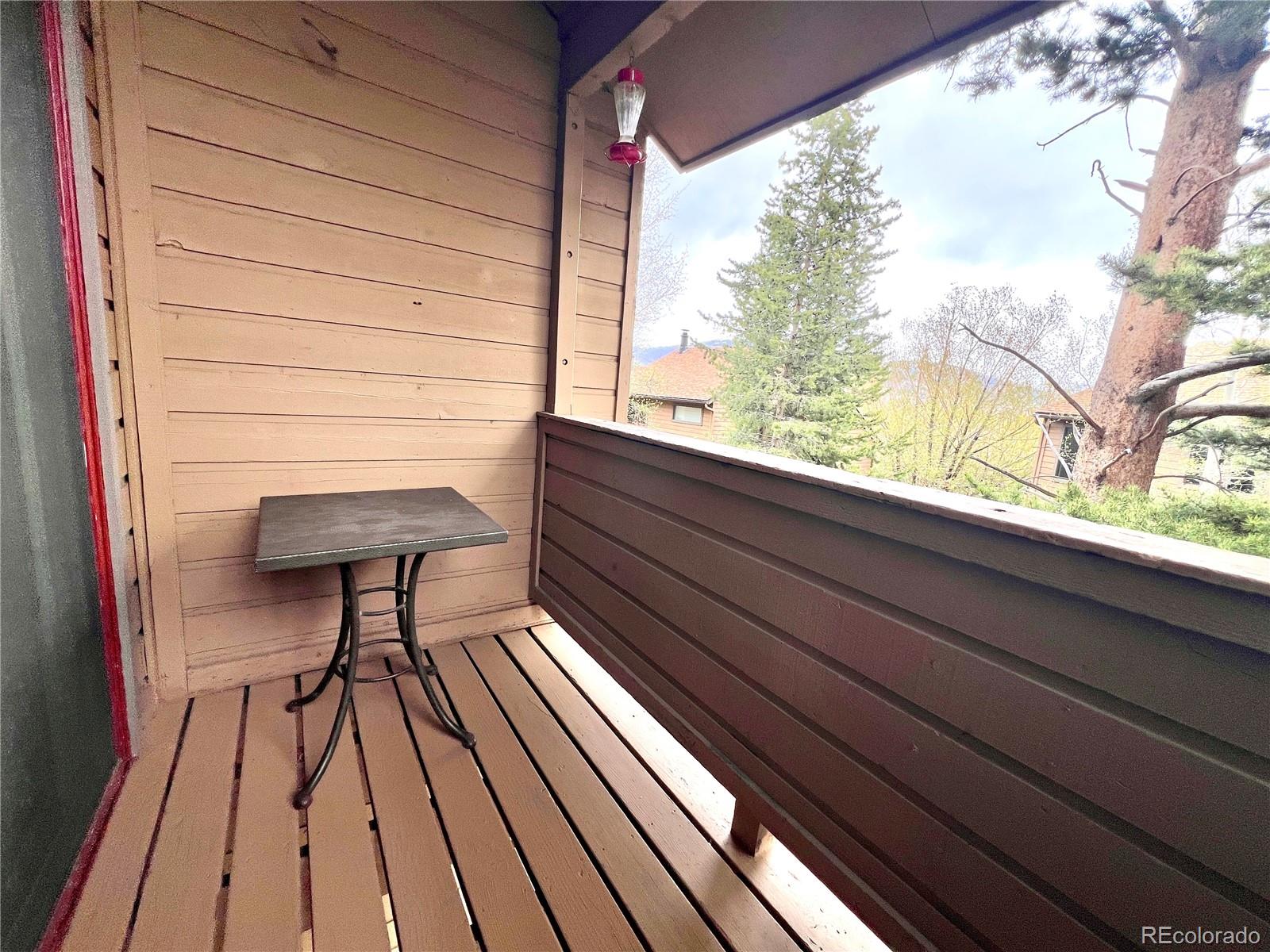 MLS Image #14 for 6722  ryan gulch road,silverthorne, Colorado