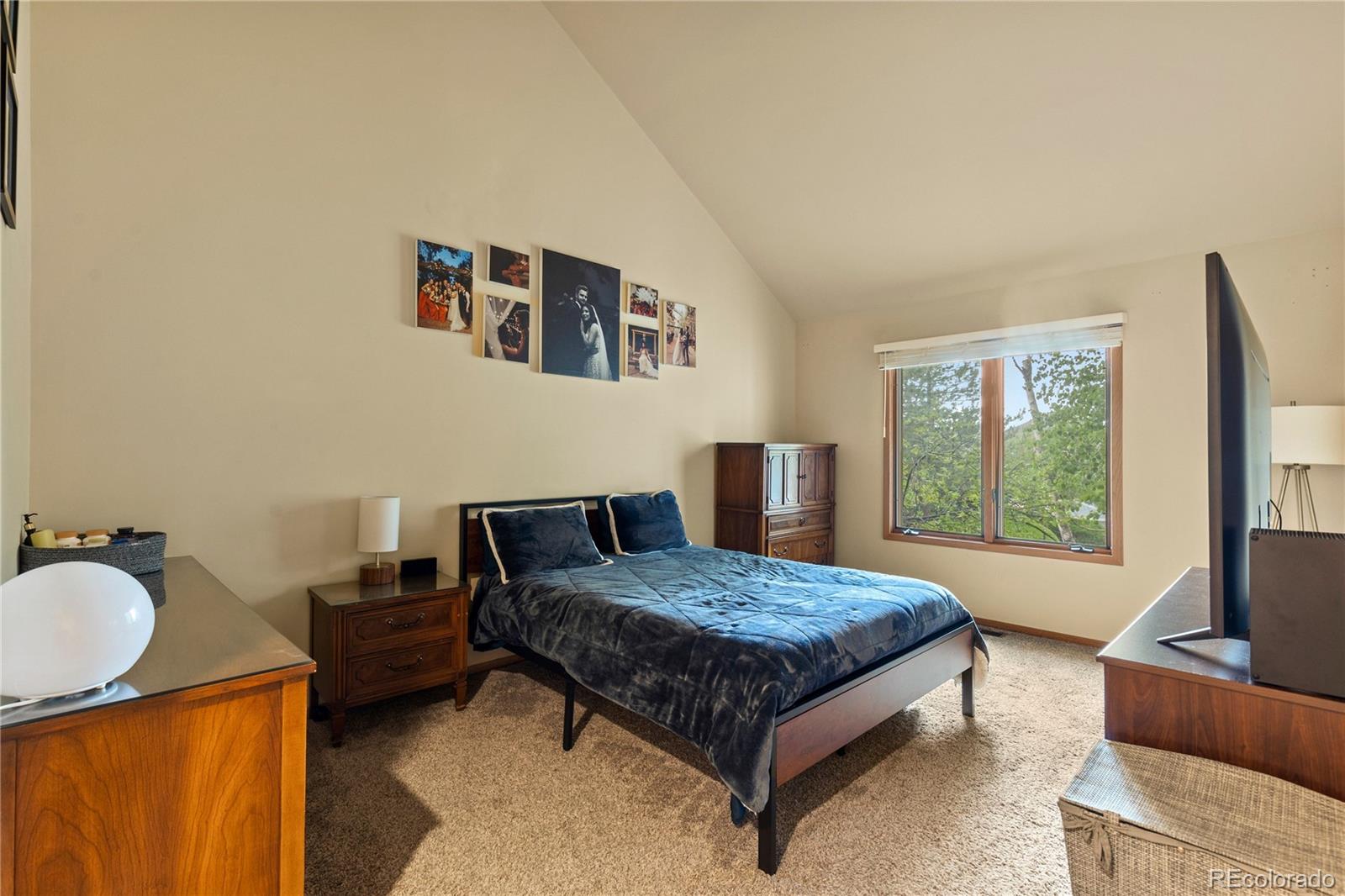 MLS Image #27 for 2212  emerald drive,castle rock, Colorado