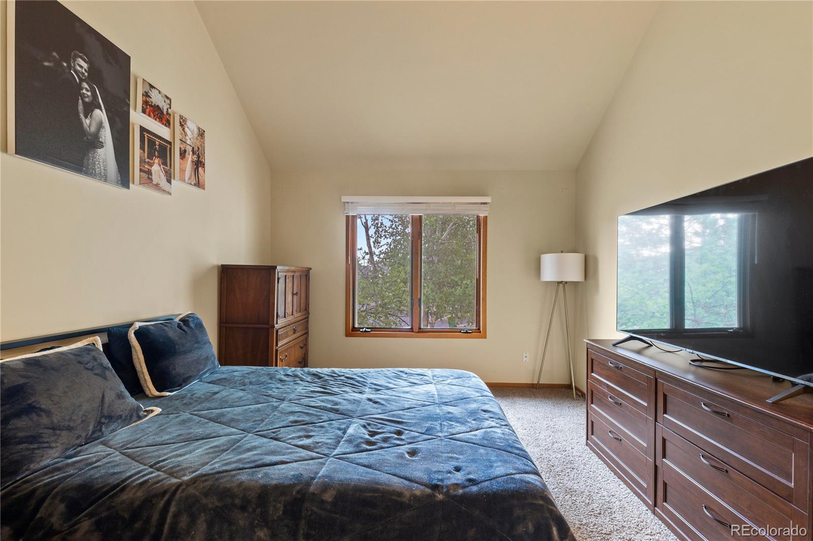 MLS Image #28 for 2212  emerald drive,castle rock, Colorado
