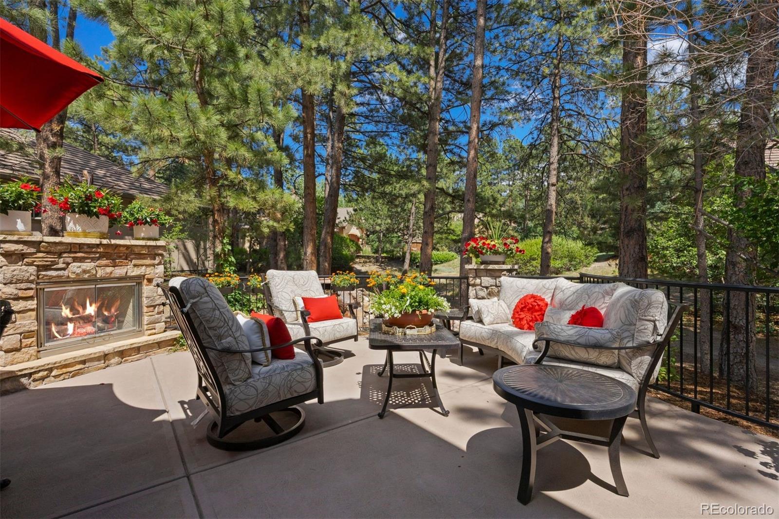 MLS Image #5 for 5271  red pass lane,castle rock, Colorado