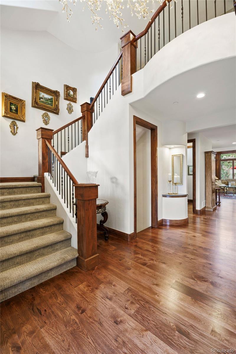 MLS Image #8 for 5271  red pass lane,castle rock, Colorado