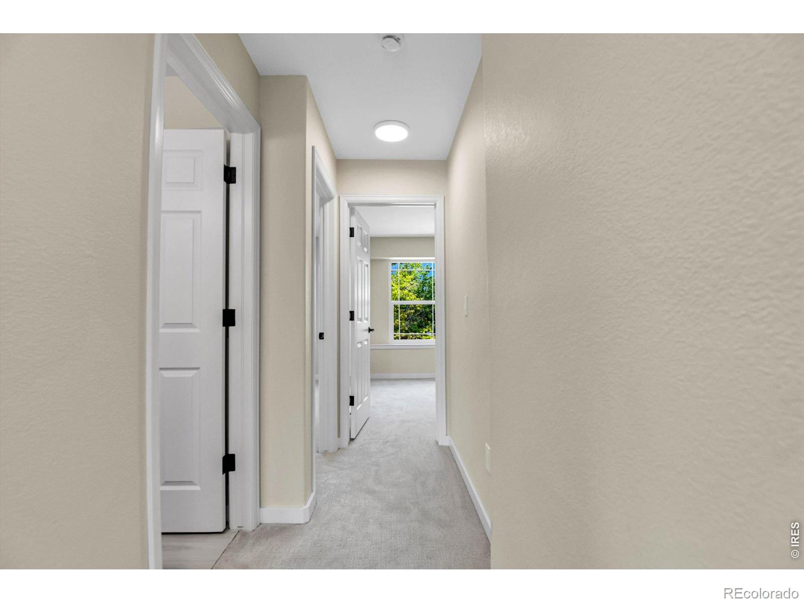 MLS Image #22 for 1185  odyssey court,lafayette, Colorado