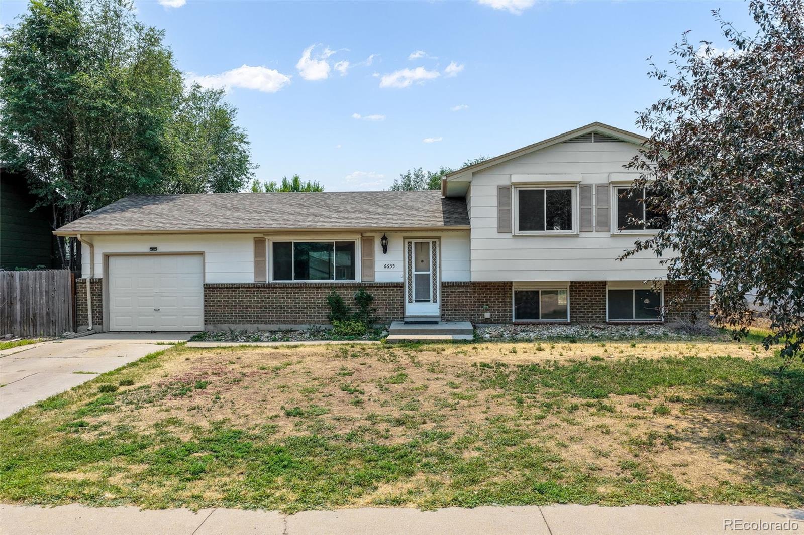 MLS Image #42 for 6635  ocean avenue,colorado springs, Colorado