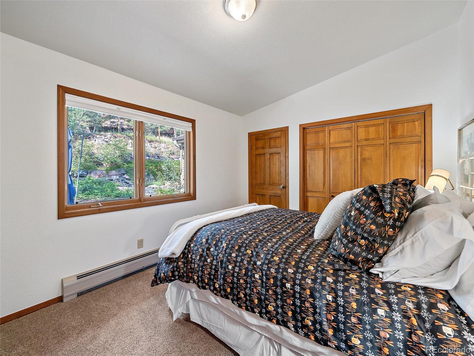 MLS Image #27 for 675  witter gulch road,evergreen, Colorado
