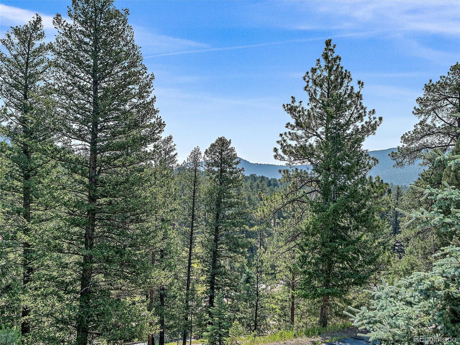 MLS Image #9 for 675  witter gulch road,evergreen, Colorado