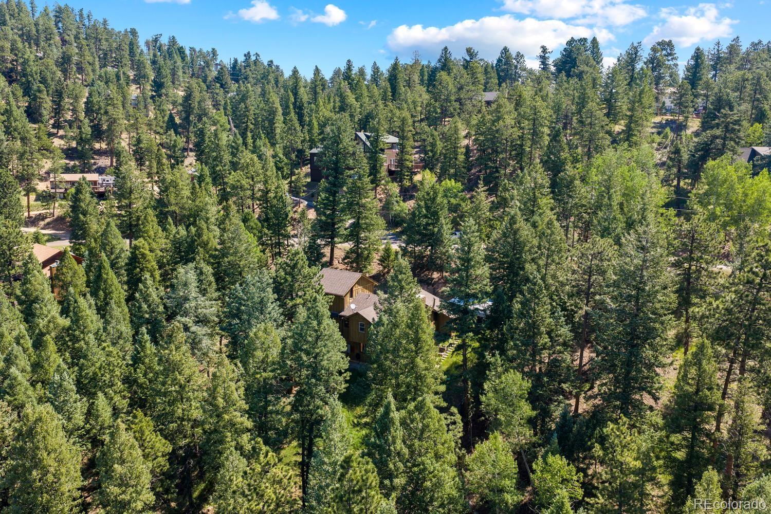 MLS Image #35 for 32638  little cub road,evergreen, Colorado