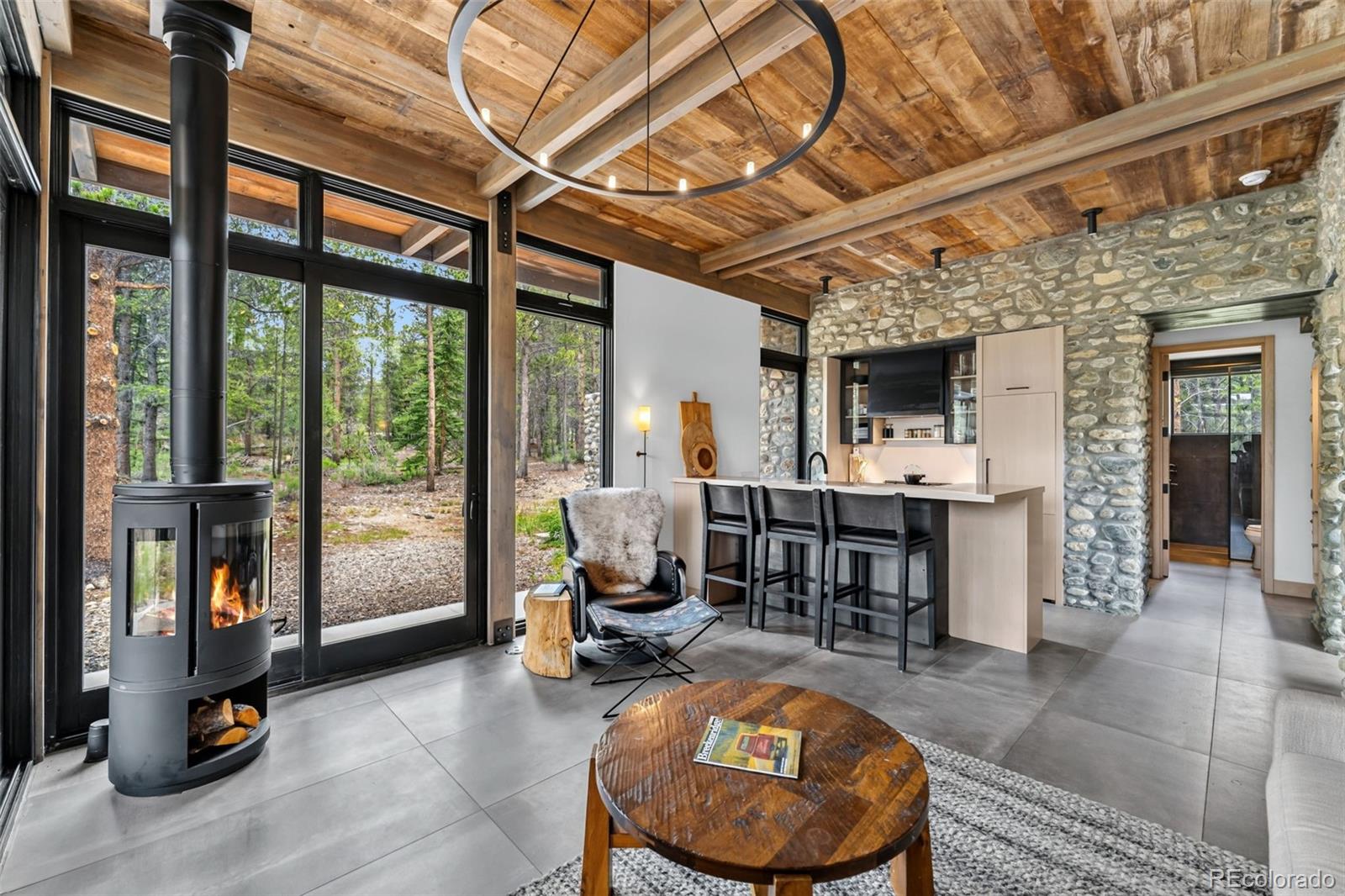 MLS Image #15 for 2383  tiger road,breckenridge, Colorado
