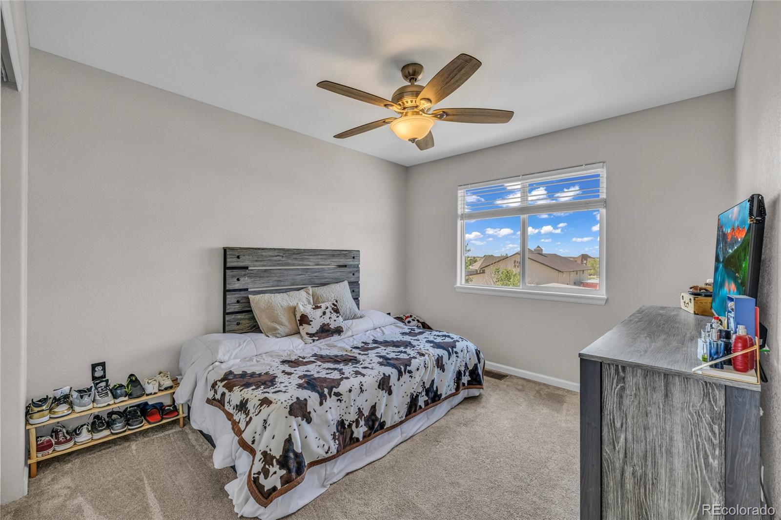 MLS Image #19 for 30406 e 166th avenue,brighton, Colorado