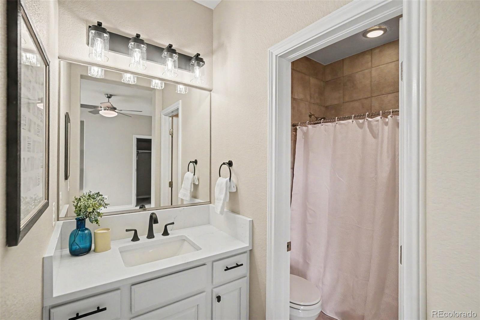 MLS Image #29 for 2783  southshire road,highlands ranch, Colorado