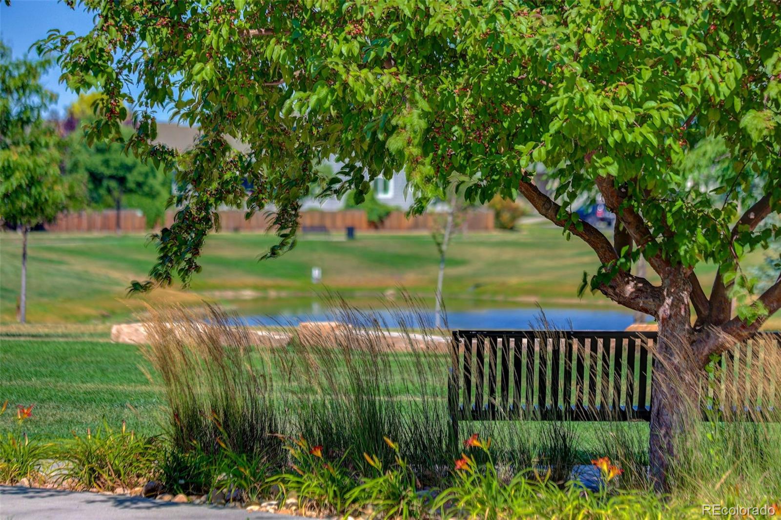MLS Image #40 for 6259  oak grove street,timnath, Colorado