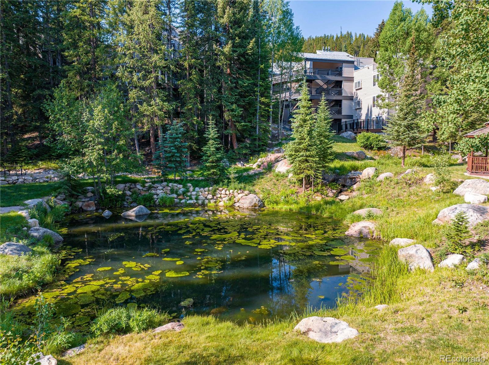 MLS Image #2 for 477  iron horse way,winter park, Colorado