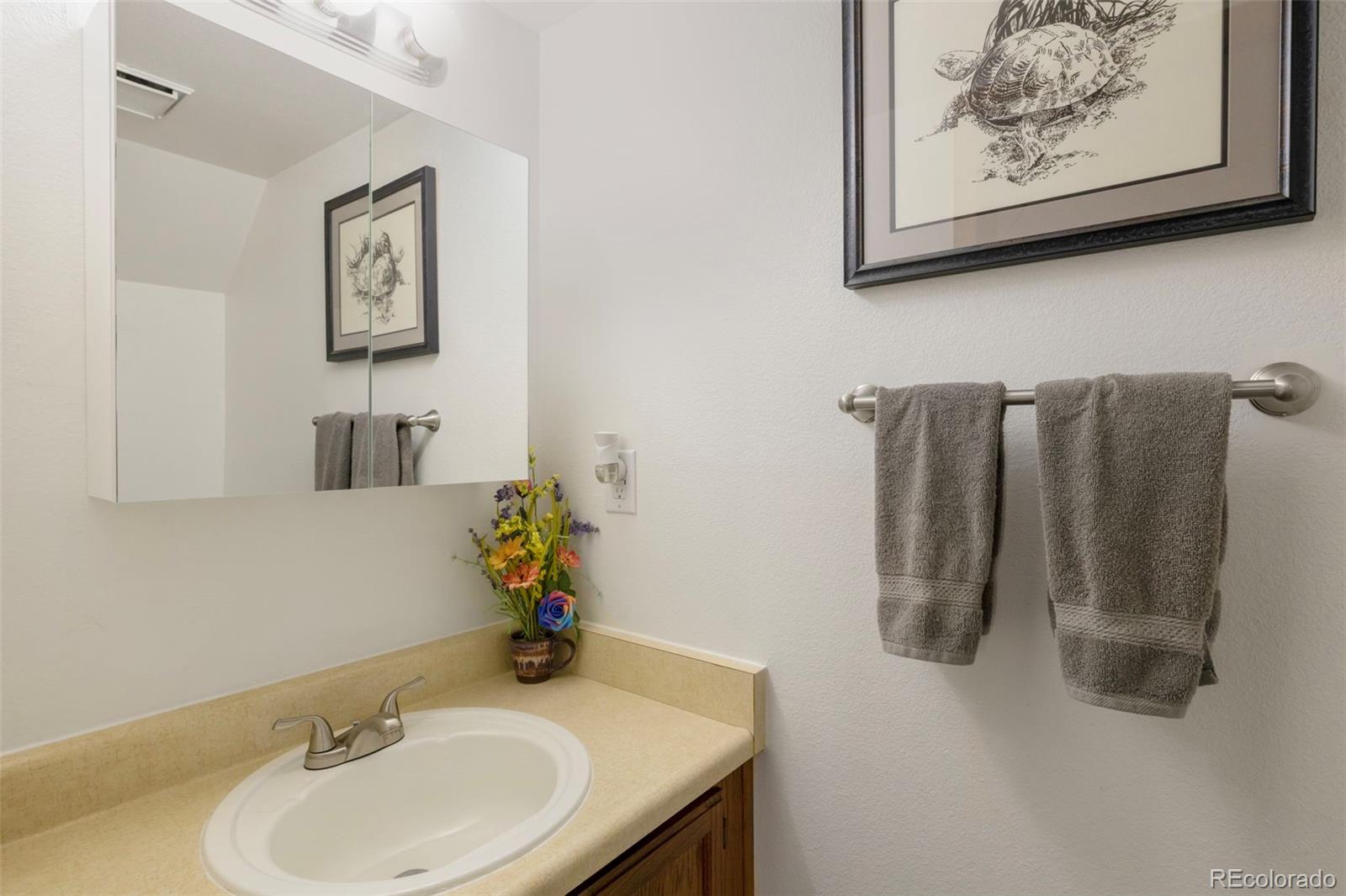 MLS Image #12 for 3112  vail pass drive,colorado springs, Colorado