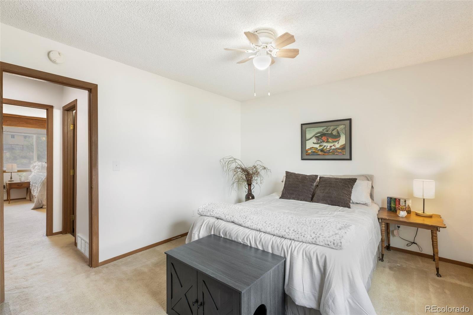 MLS Image #15 for 3112  vail pass drive,colorado springs, Colorado