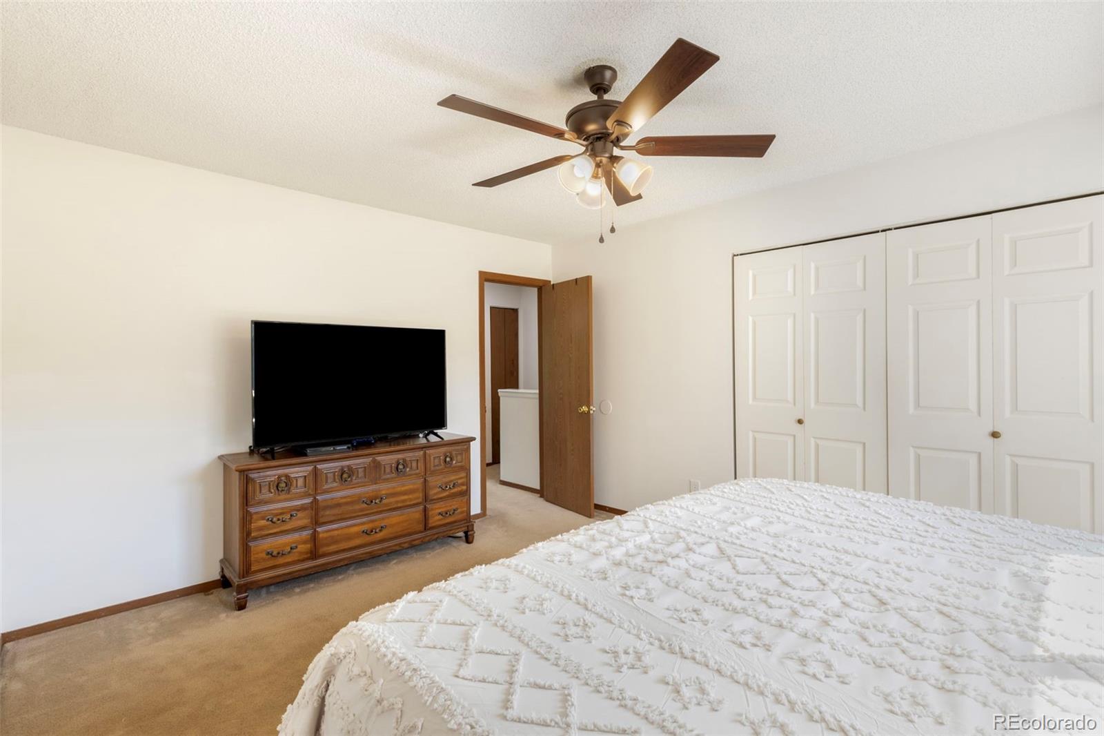 MLS Image #21 for 3112  vail pass drive,colorado springs, Colorado