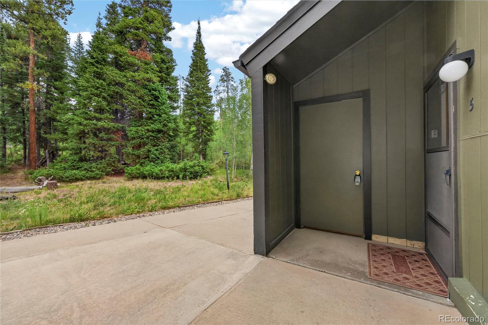 MLS Image #4 for 136 e meadow mile ,fraser, Colorado