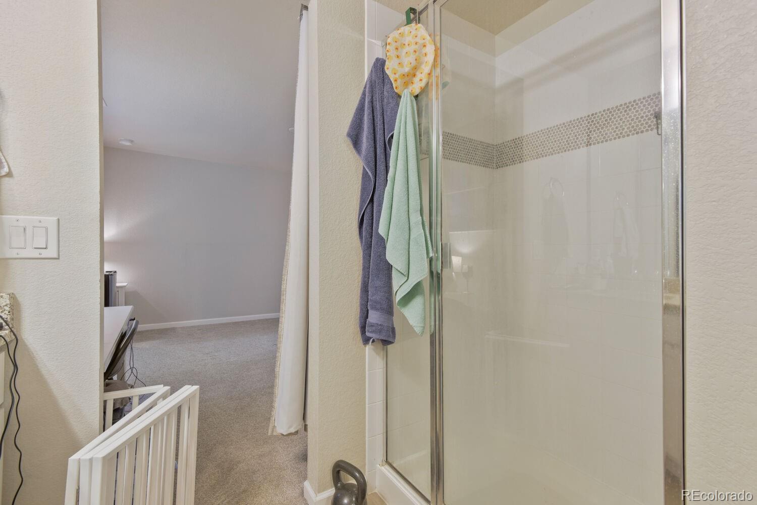 MLS Image #17 for 3585  swabuck place,castle rock, Colorado