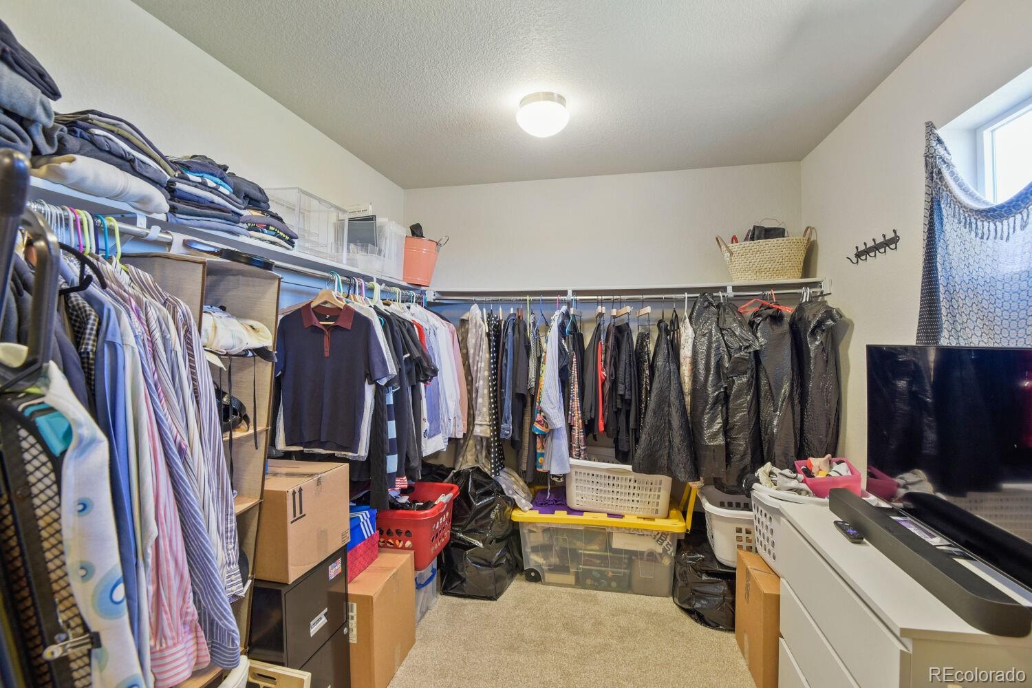 MLS Image #22 for 3585  swabuck place,castle rock, Colorado
