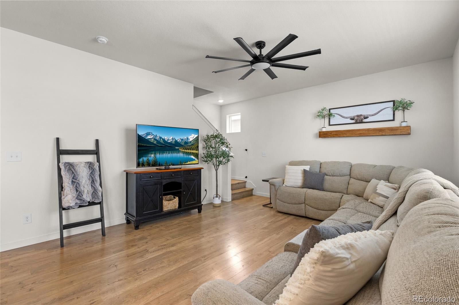 MLS Image #18 for 982  cascade falls street,windsor, Colorado