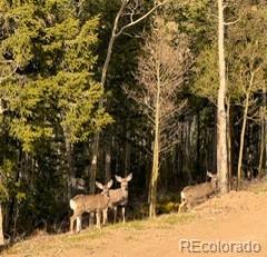 MLS Image #34 for    ,, Colorado