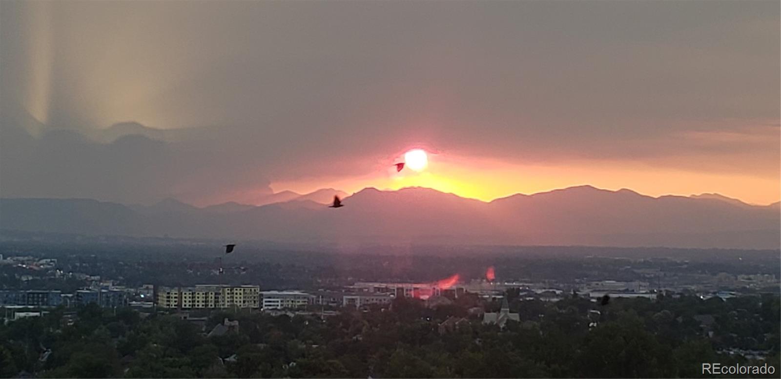 MLS Image #3 for 480 s marion parkway,denver, Colorado