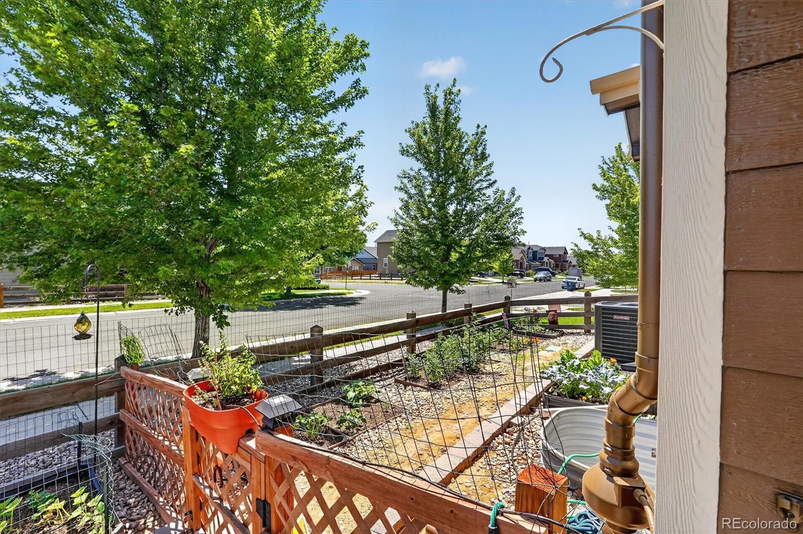 MLS Image #42 for 16389 e 99th way,commerce city, Colorado