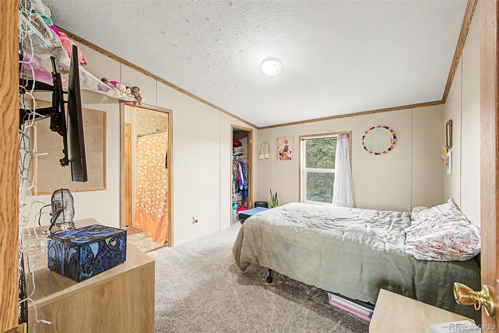MLS Image #21 for 10635  via vaquaro point,fountain, Colorado