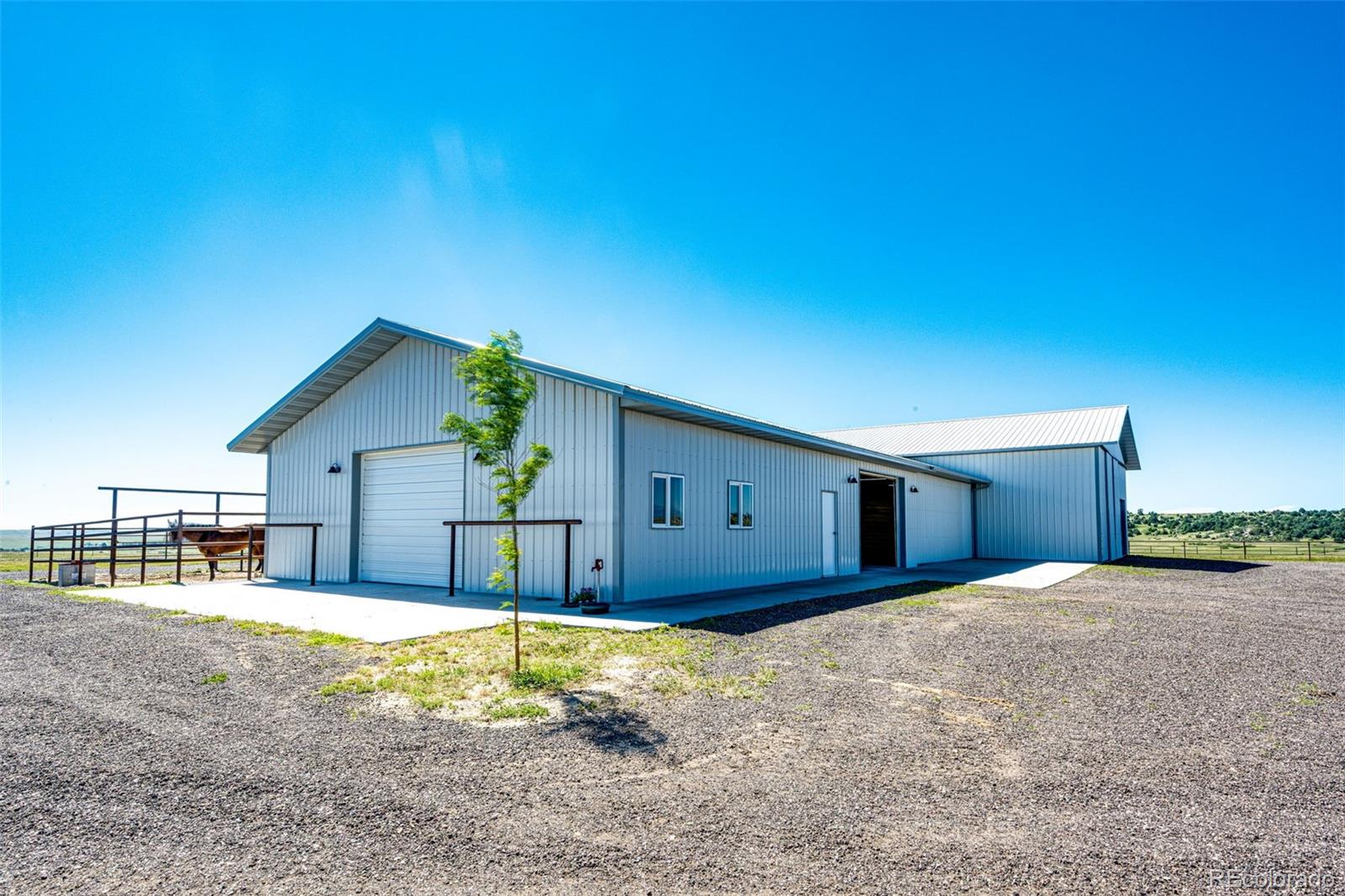 MLS Image #3 for 26493  county road 21 ,elbert, Colorado