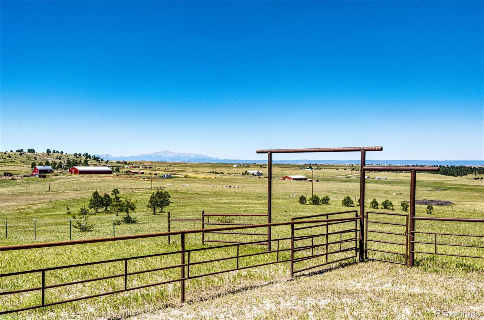 MLS Image #47 for 26493  county road 21 ,elbert, Colorado