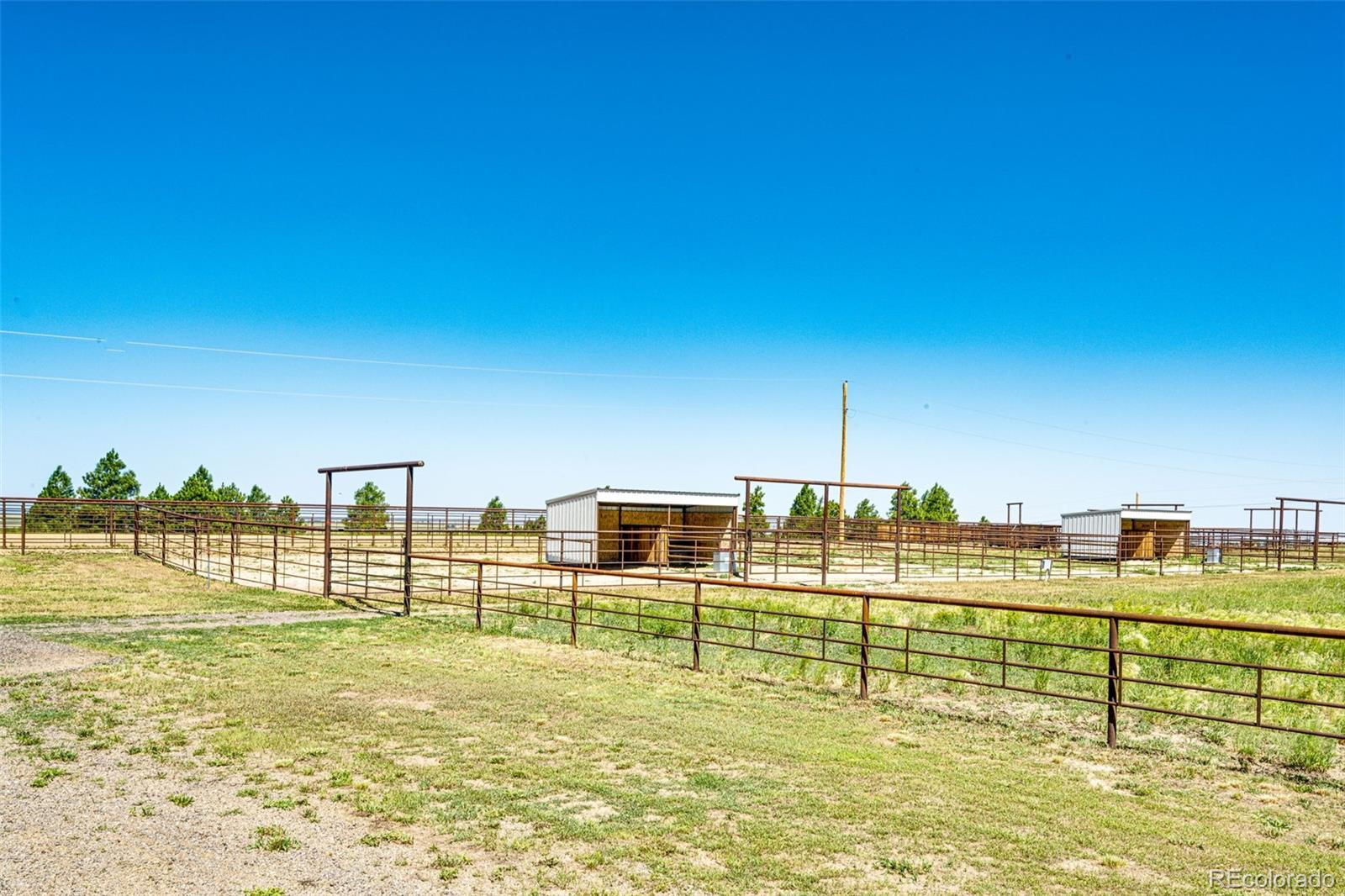 MLS Image #48 for 26493  county road 21 ,elbert, Colorado