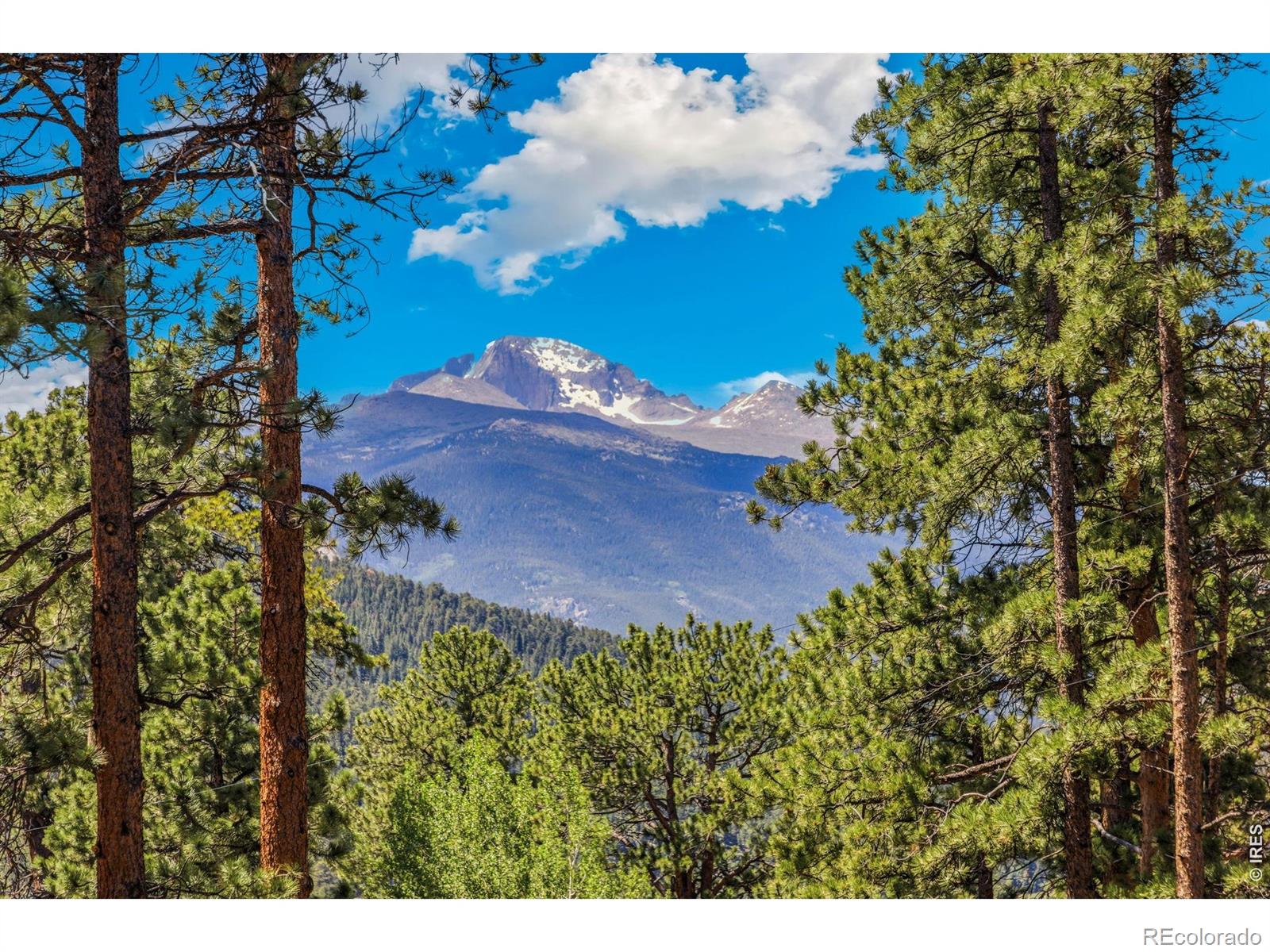 MLS Image #19 for 731  windy rose drive,estes park, Colorado