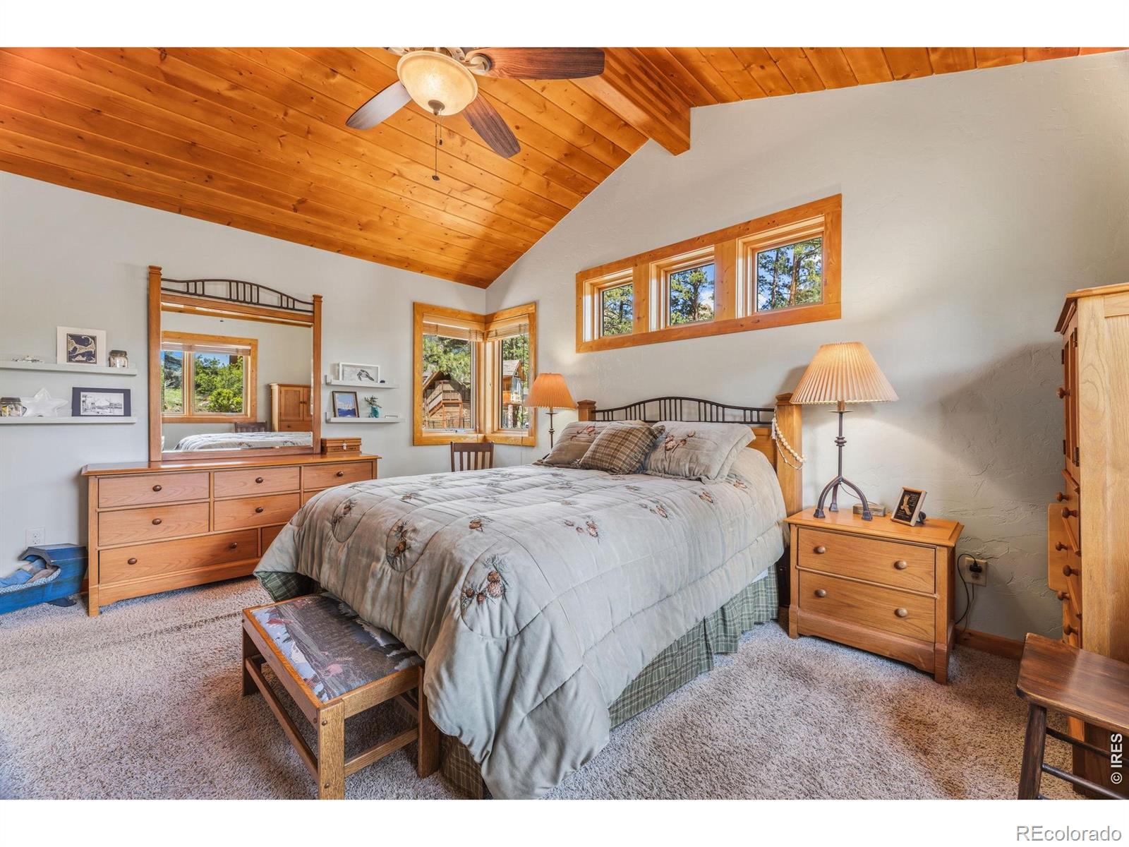 MLS Image #26 for 731  windy rose drive,estes park, Colorado