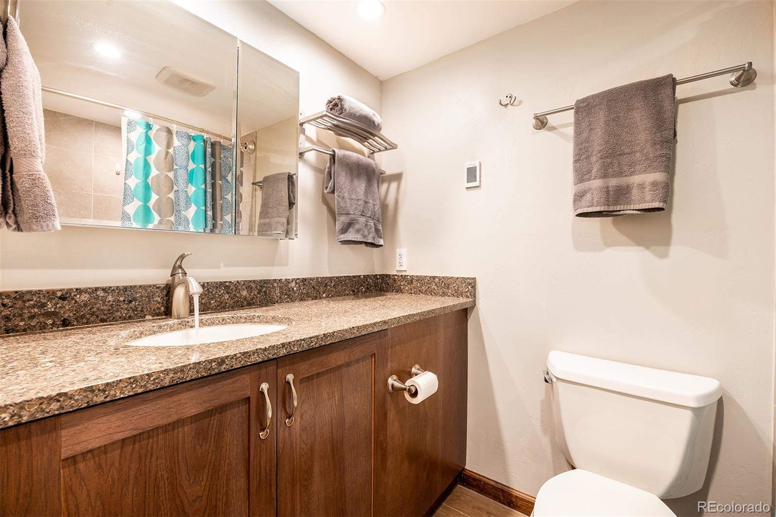 MLS Image #10 for 165  wheeler place,frisco, Colorado