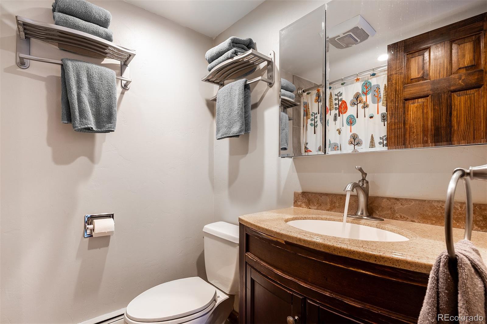 MLS Image #17 for 165  wheeler place,frisco, Colorado