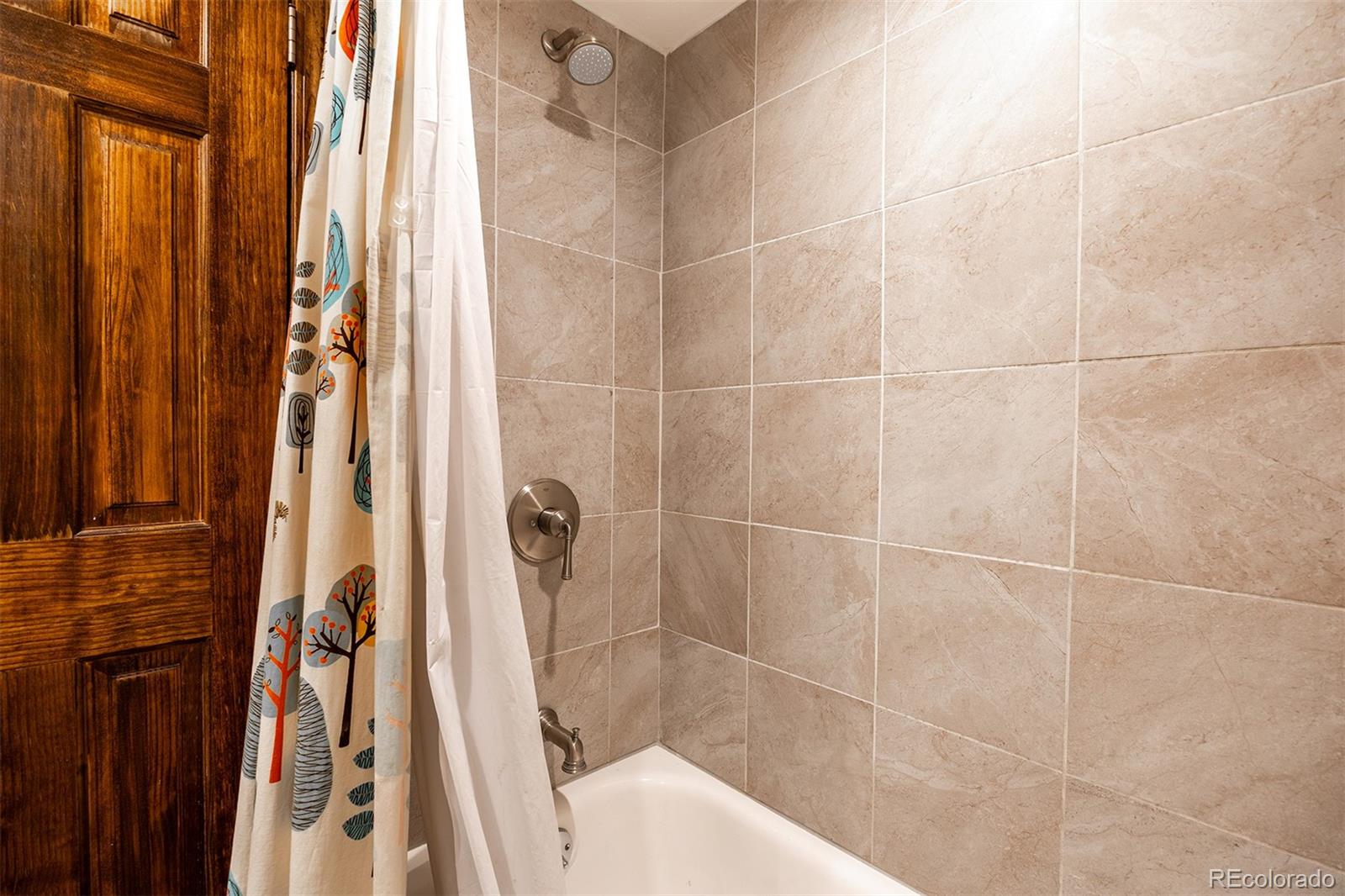 MLS Image #18 for 165  wheeler place,frisco, Colorado