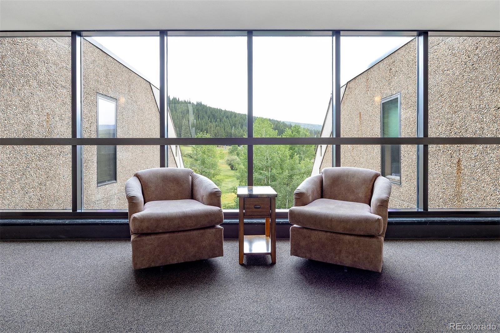 MLS Image #26 for 165  wheeler place,frisco, Colorado