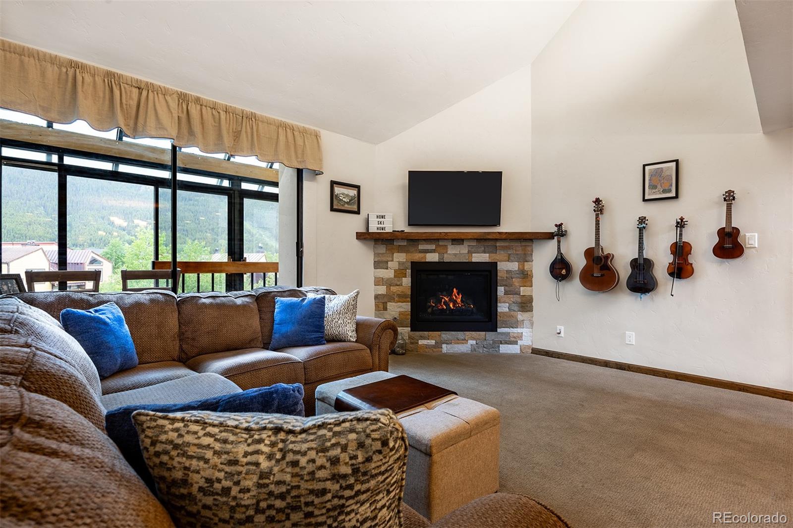 MLS Image #8 for 165  wheeler place,frisco, Colorado