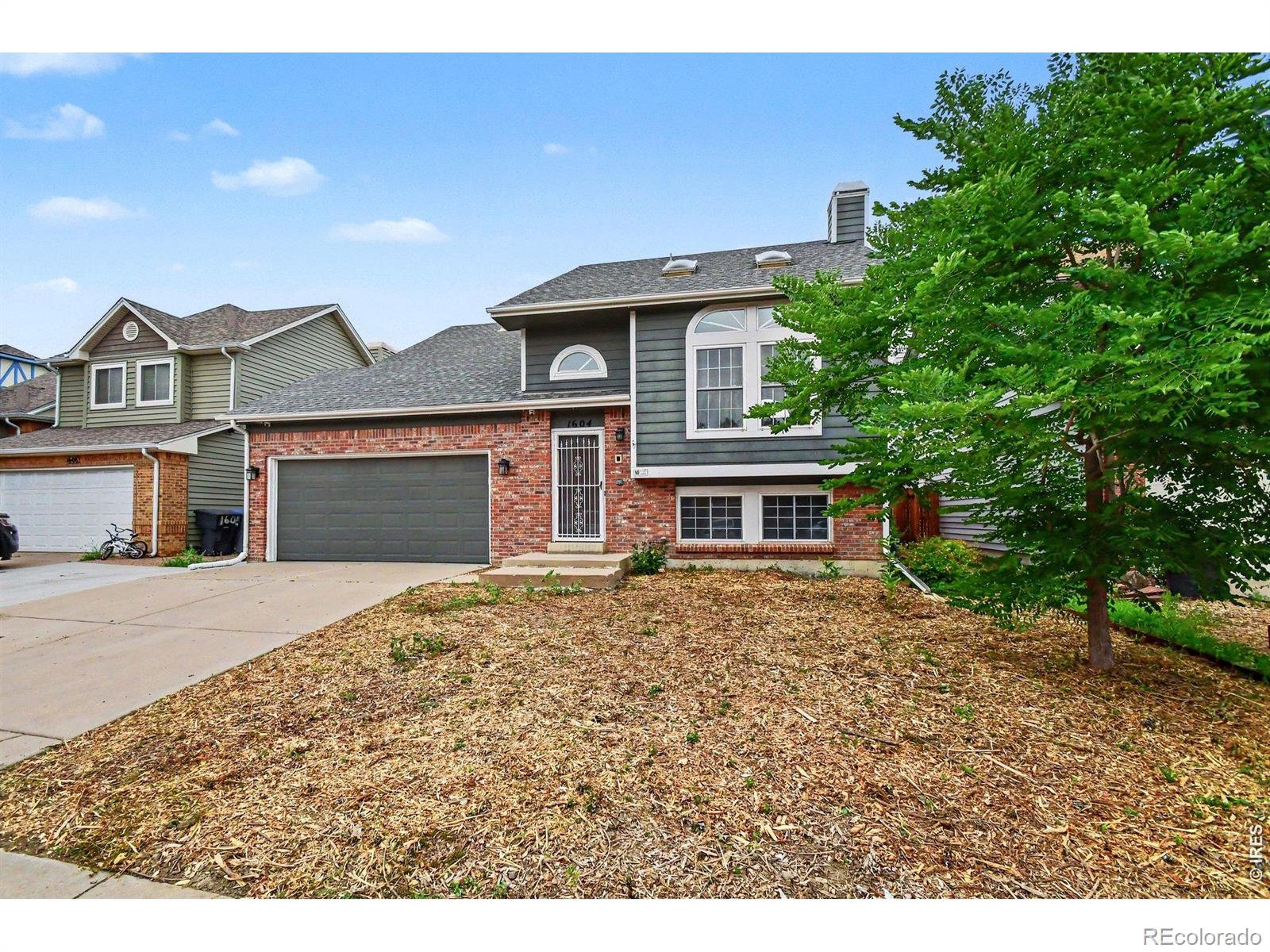 MLS Image #3 for 1604  adkinson avenue,longmont, Colorado