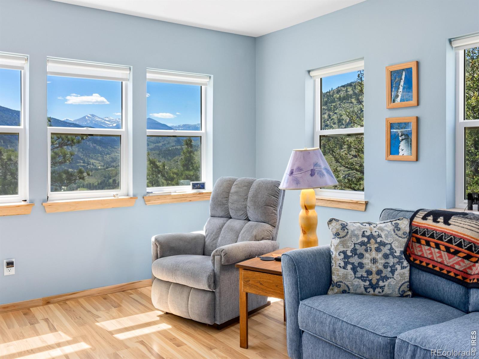 MLS Image #31 for 456  storm mountain drive,drake, Colorado