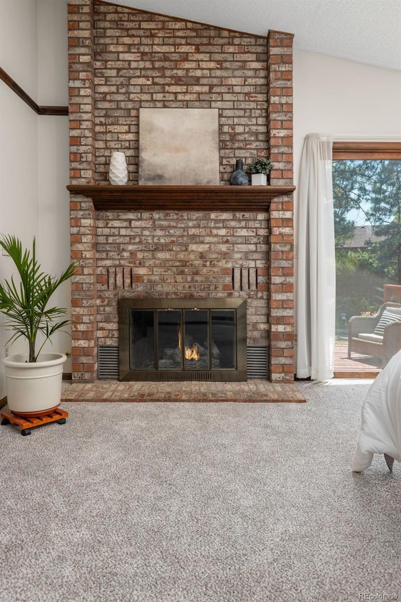 MLS Image #19 for 9434  mcshane court,parker, Colorado